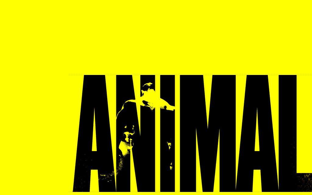 Animal Pak Wallpapers Wallpaper Cave