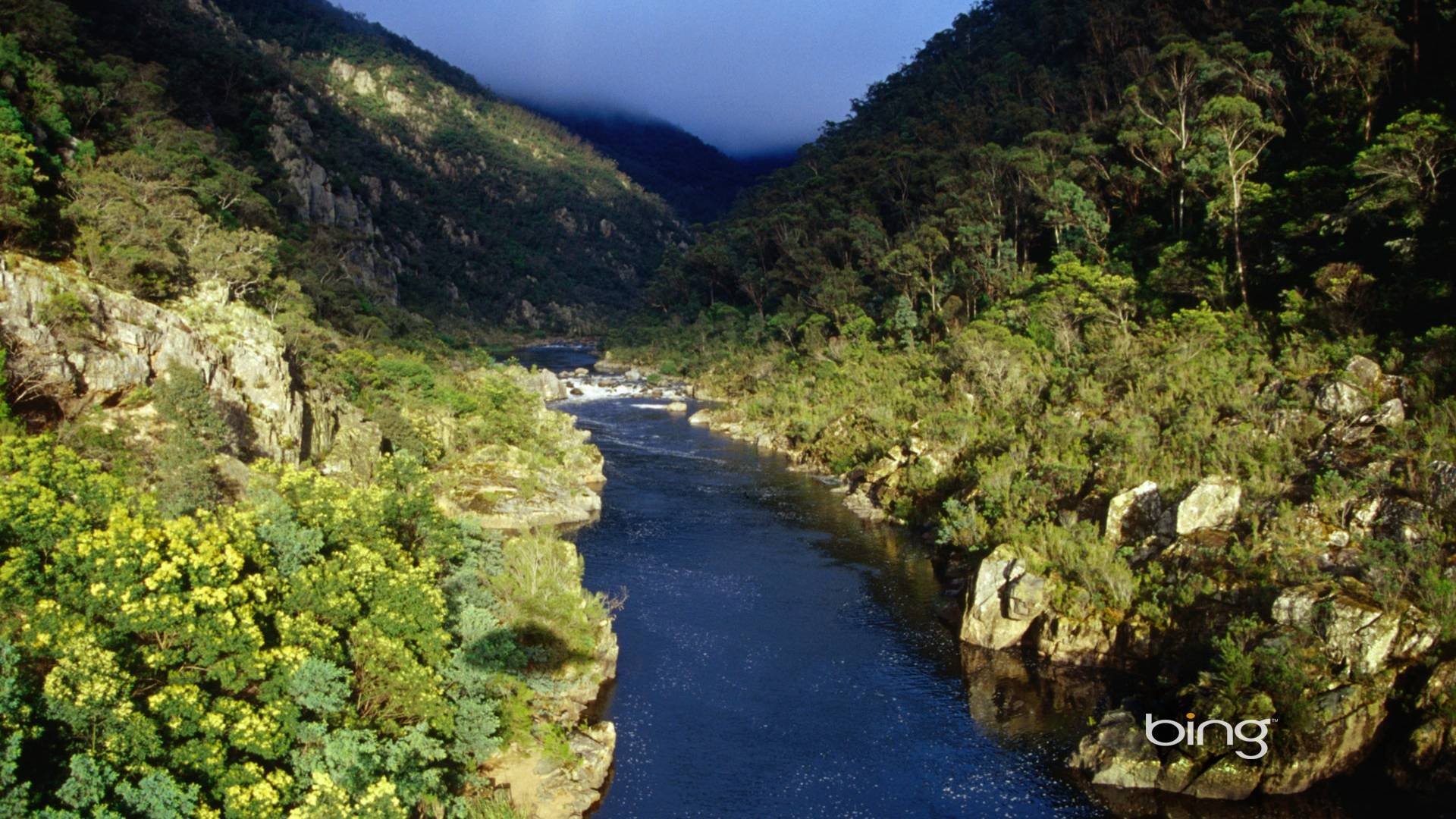 Bing Images Wallpapers Wallpaper Cave