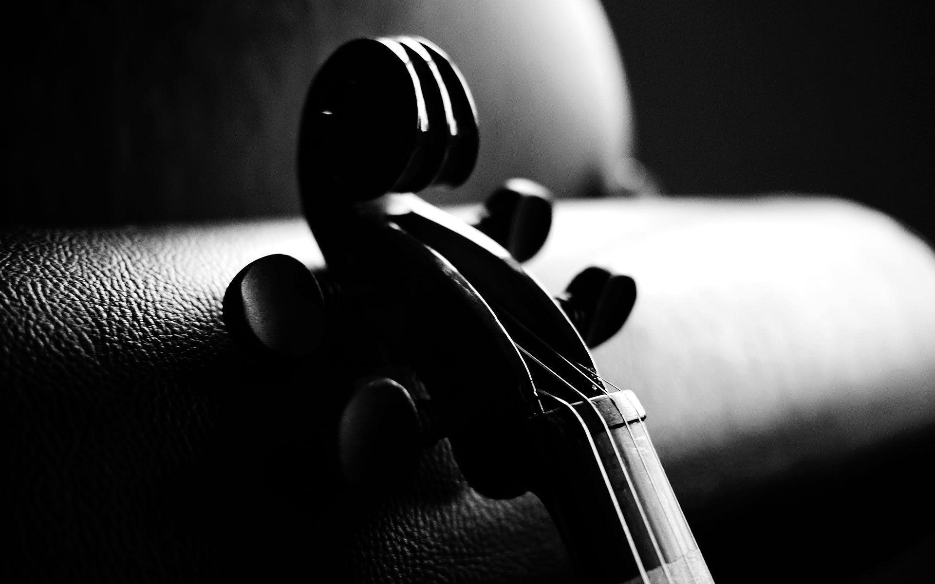 Violin Wallpapers Wallpaper Cave