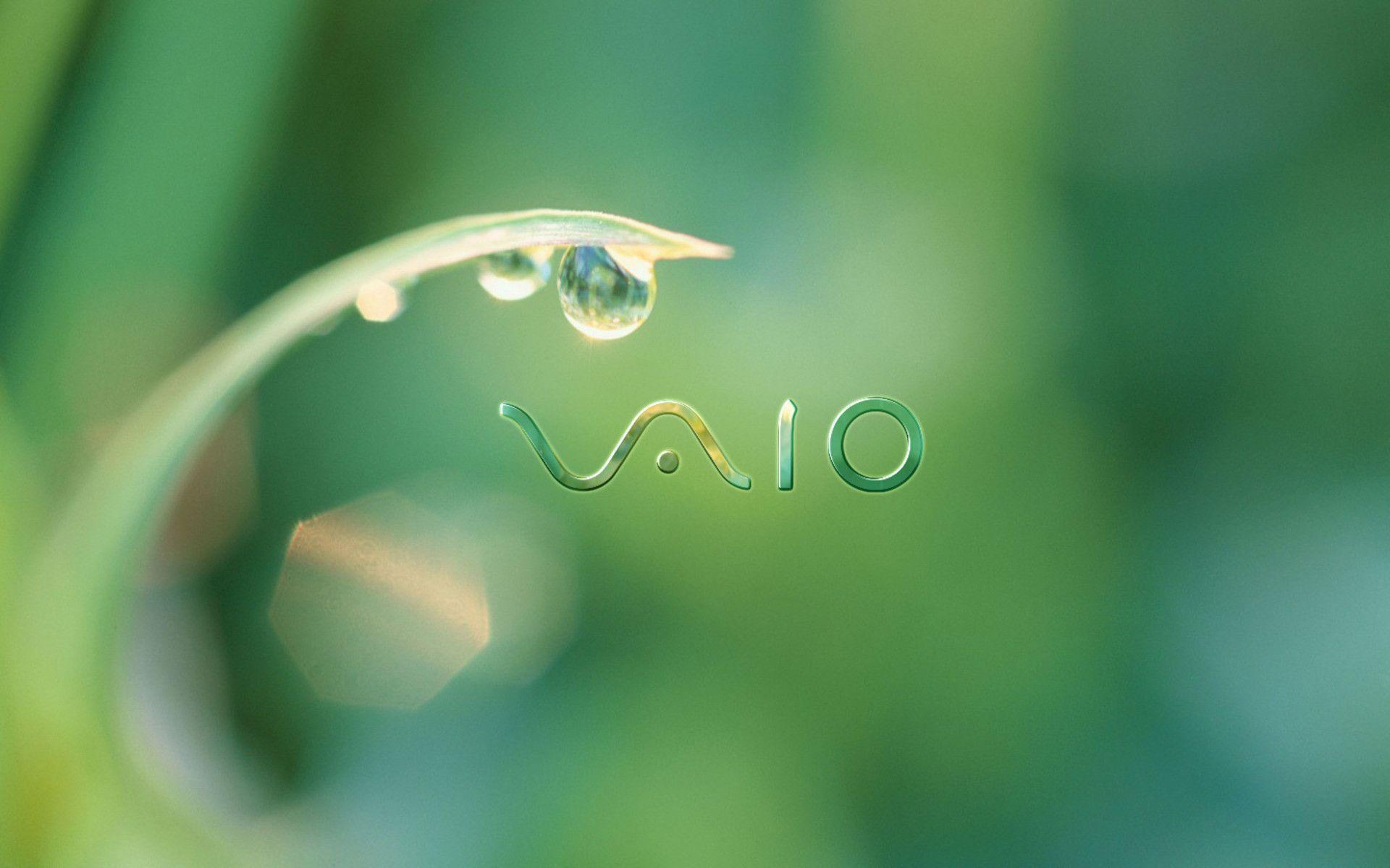 Sony Vaio Wallpapers Wallpaper Cave