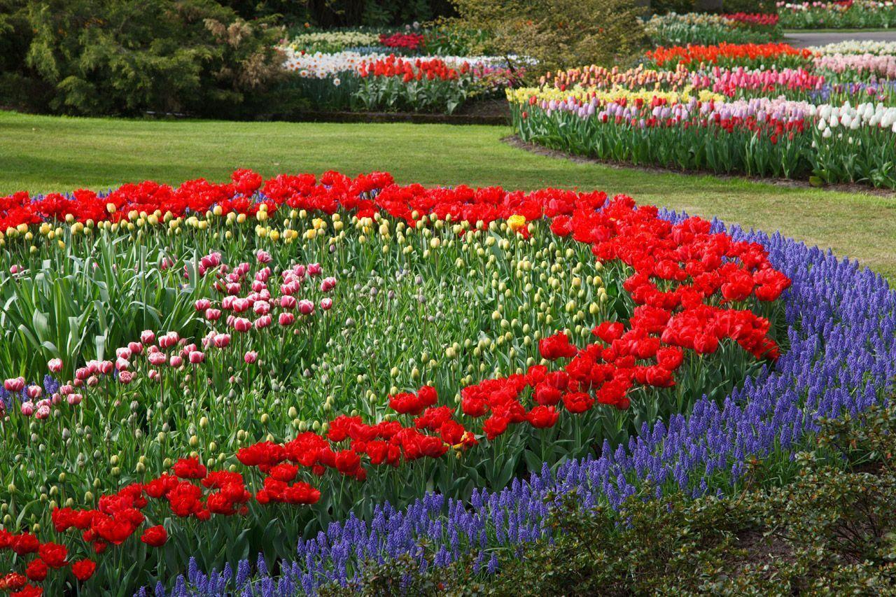 Flower Garden Wallpaper Cave Design Flower Garden
