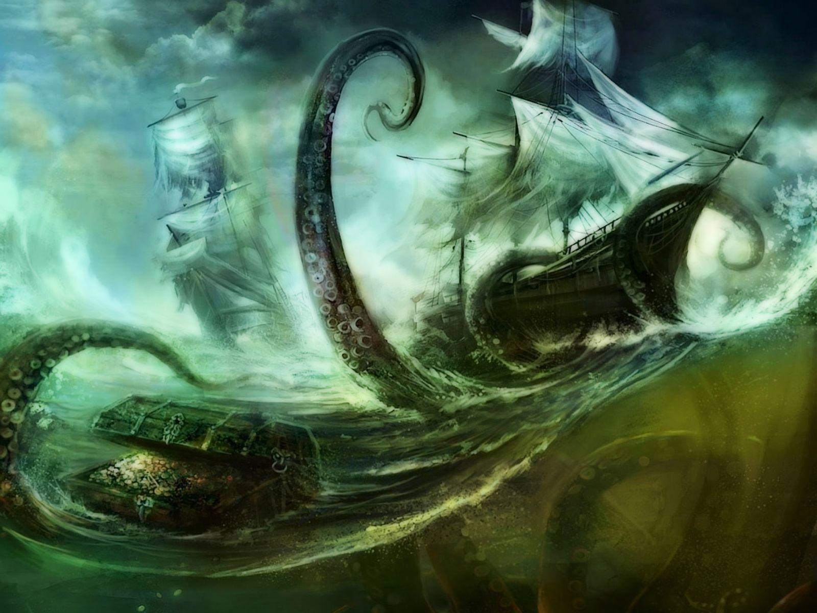 Octopus Wallpapers Wallpaper Cave