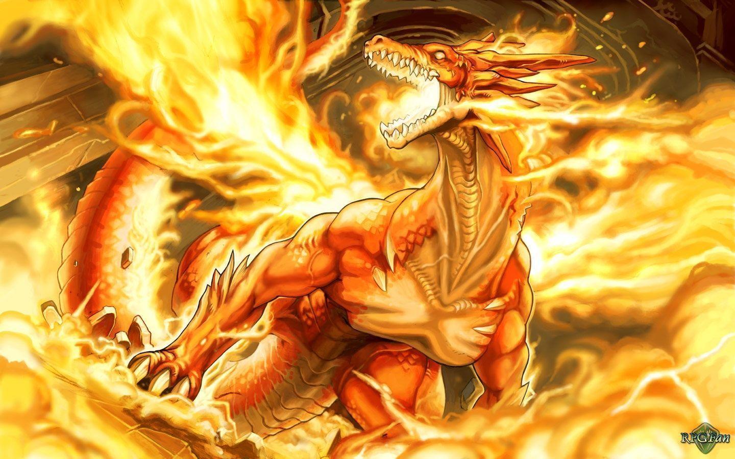 Fire Dragon Wallpapers Wallpaper Cave