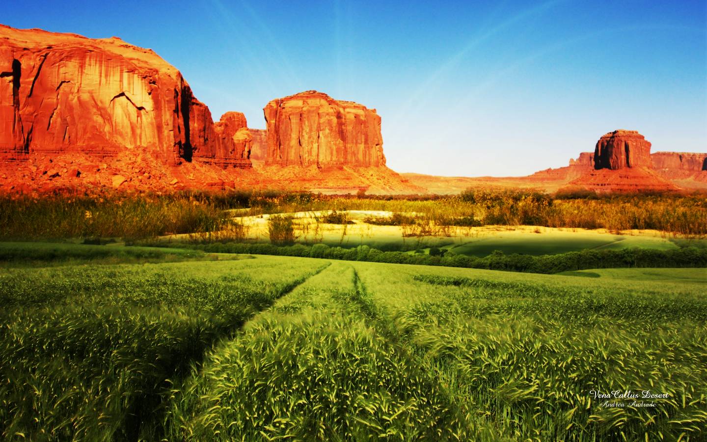 Best Nature Wallpapers Wallpaper Cave