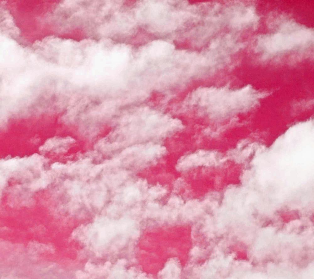 Pink Colour Backgrounds Wallpaper Cave