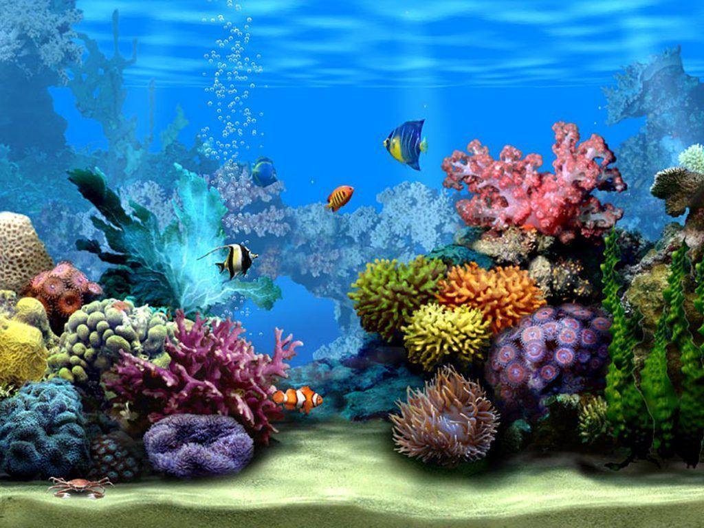 Sea Life Wallpapers Wallpaper Cave