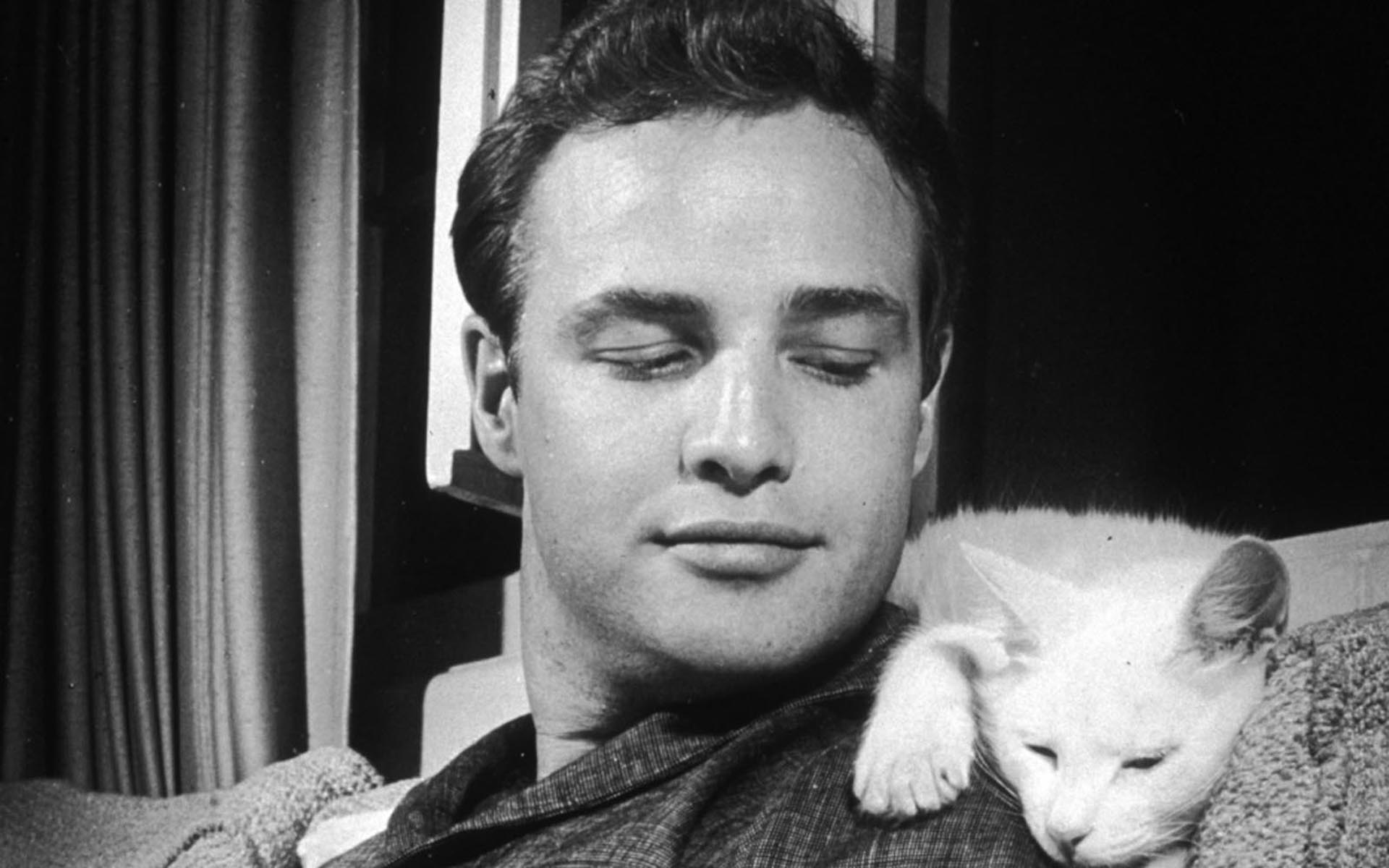 Marlon Brando Wallpapers Wallpaper Cave