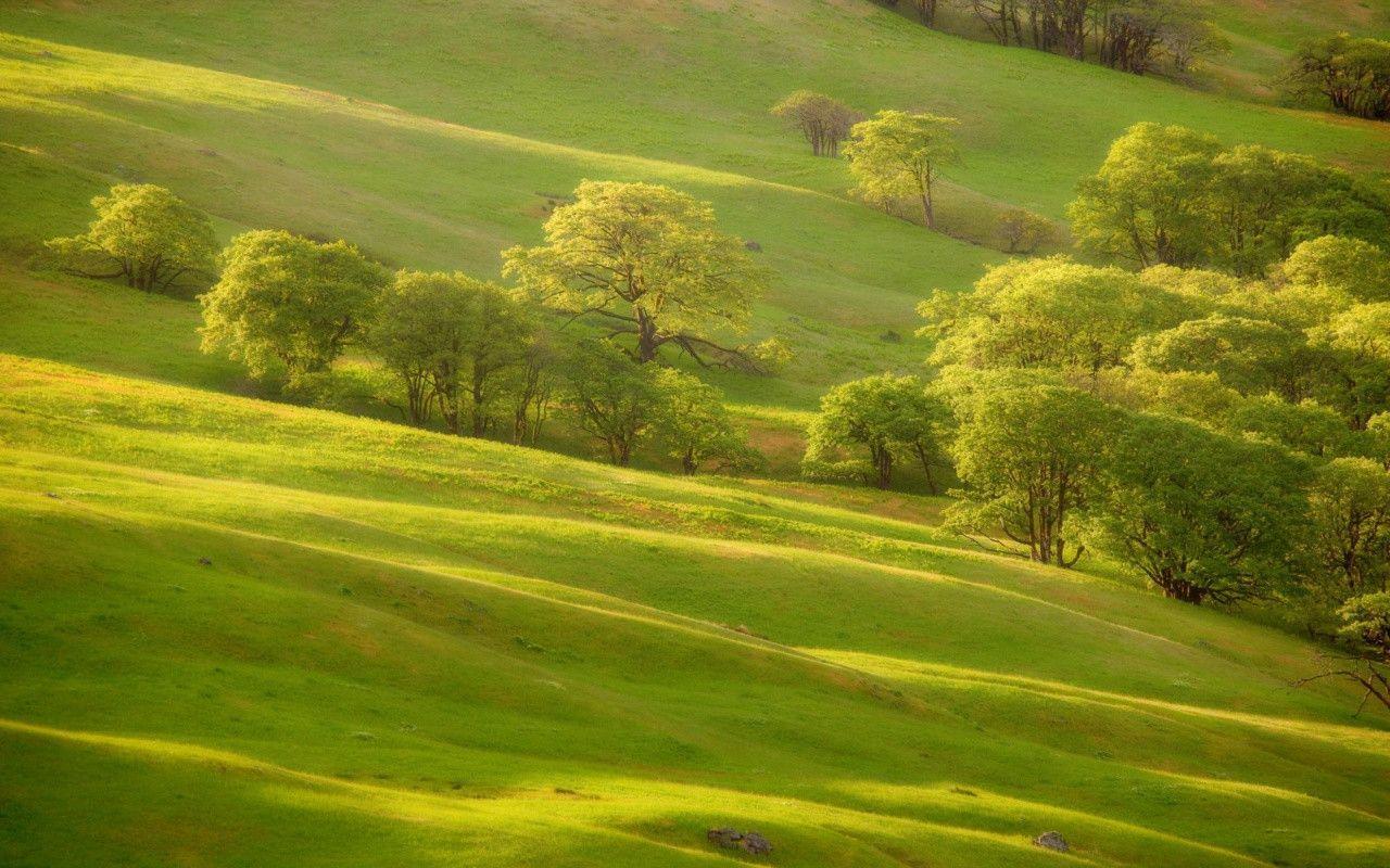 Green Hills Wallpapers Wallpaper Cave