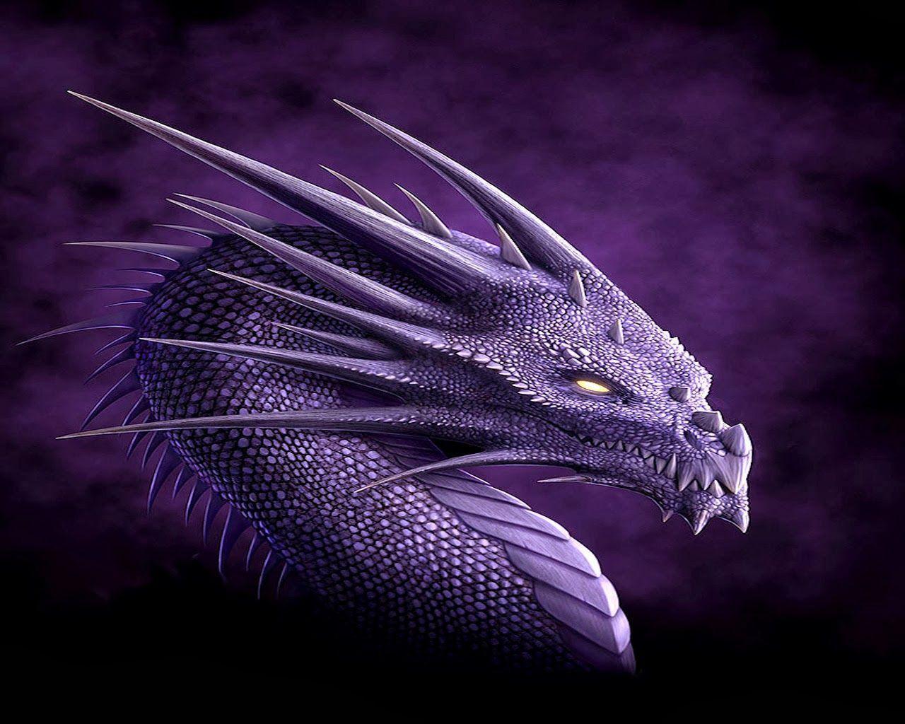 Fire Dragon Wallpapers Wallpaper Cave