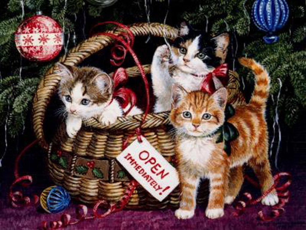 Christmas Kitten Wallpapers Wallpaper Cave
