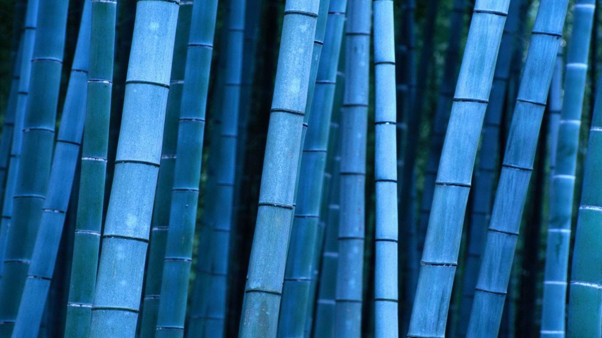 Bamboo Desktop Wallpapers Wallpaper Cave