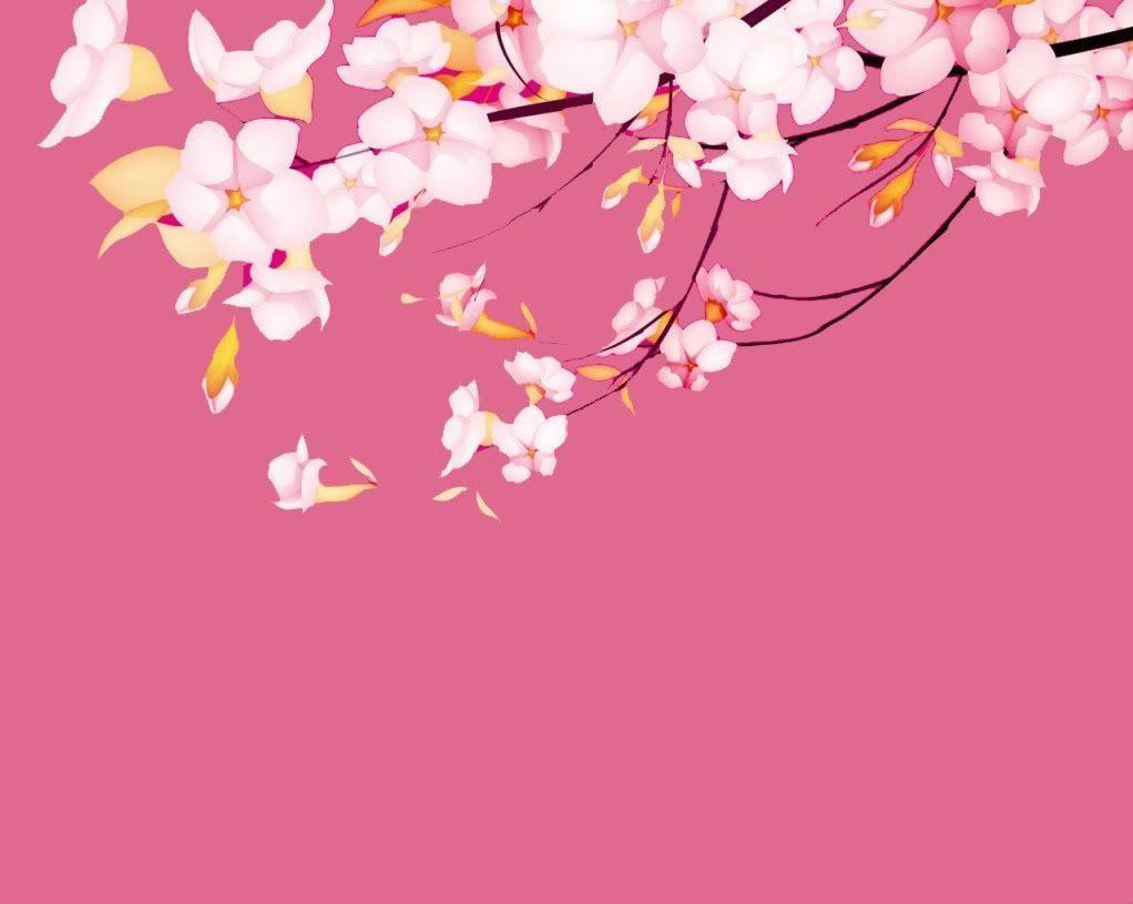 Sakura Flower Wallpapers Wallpaper Cave
