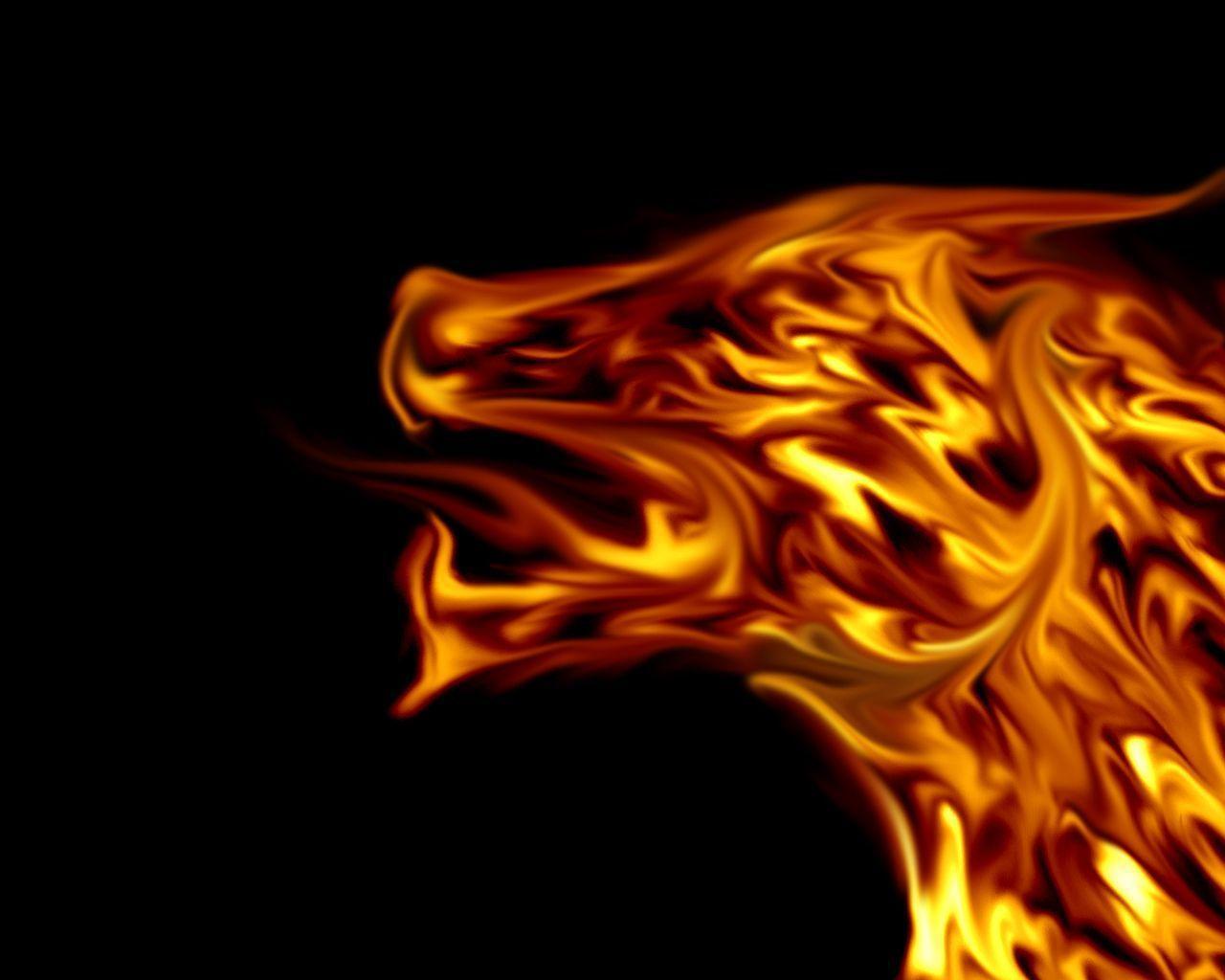 Fire Wallpapers HD Wallpaper Cave