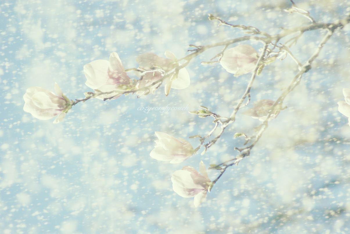 Baby Blue Wallpapers Wallpaper Cave