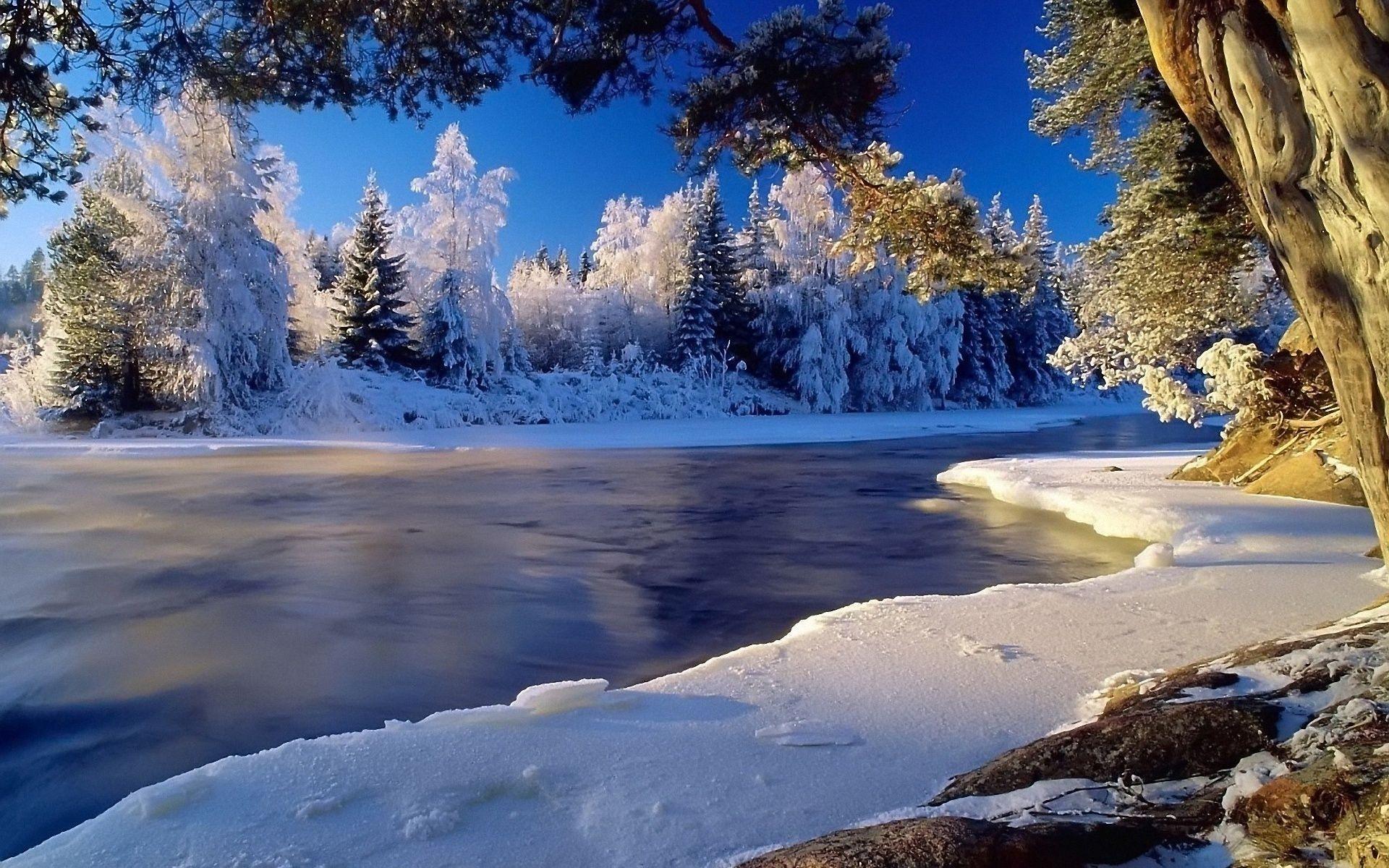 Beautiful Winter Wallpapers Wallpaper Cave