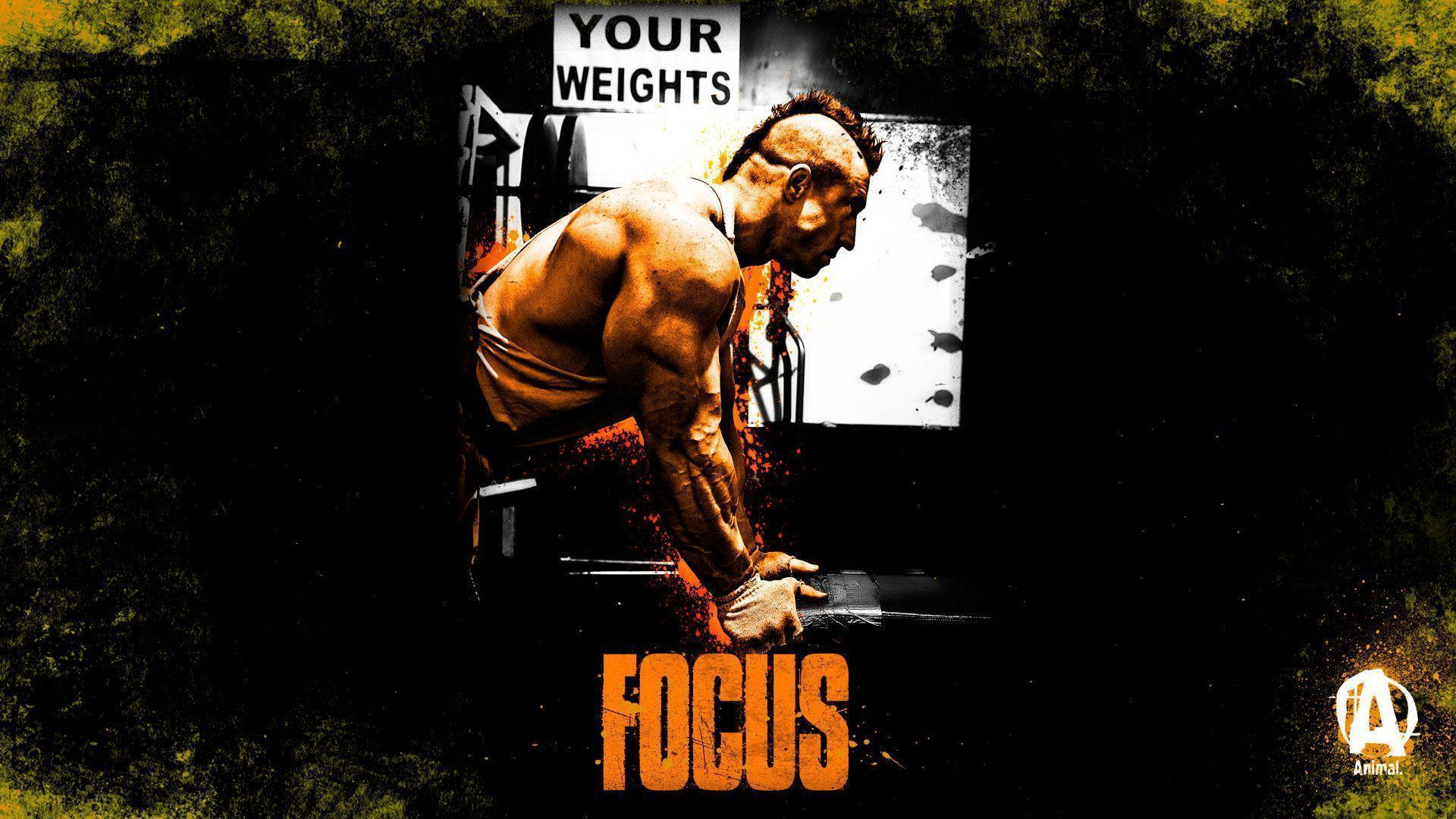 Animal Pak Wallpapers Wallpaper Cave