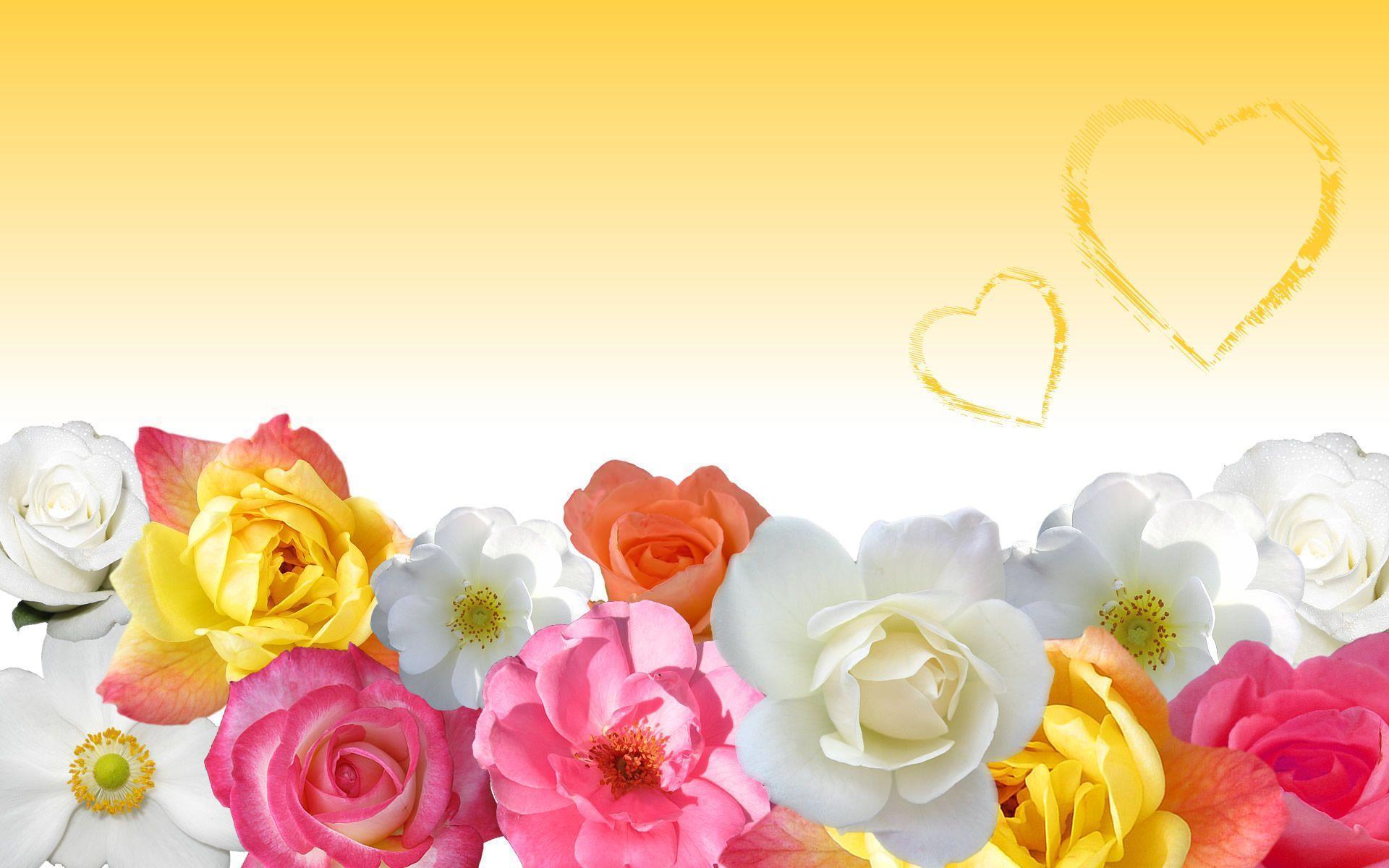 Love Flower Wallpapers Wallpaper Cave