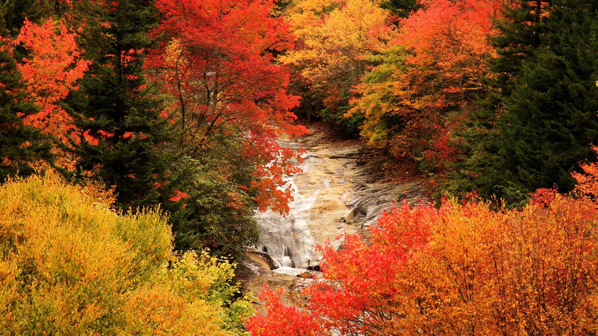 Autumn Wallpapers 1920x1080 Wallpaper Cave