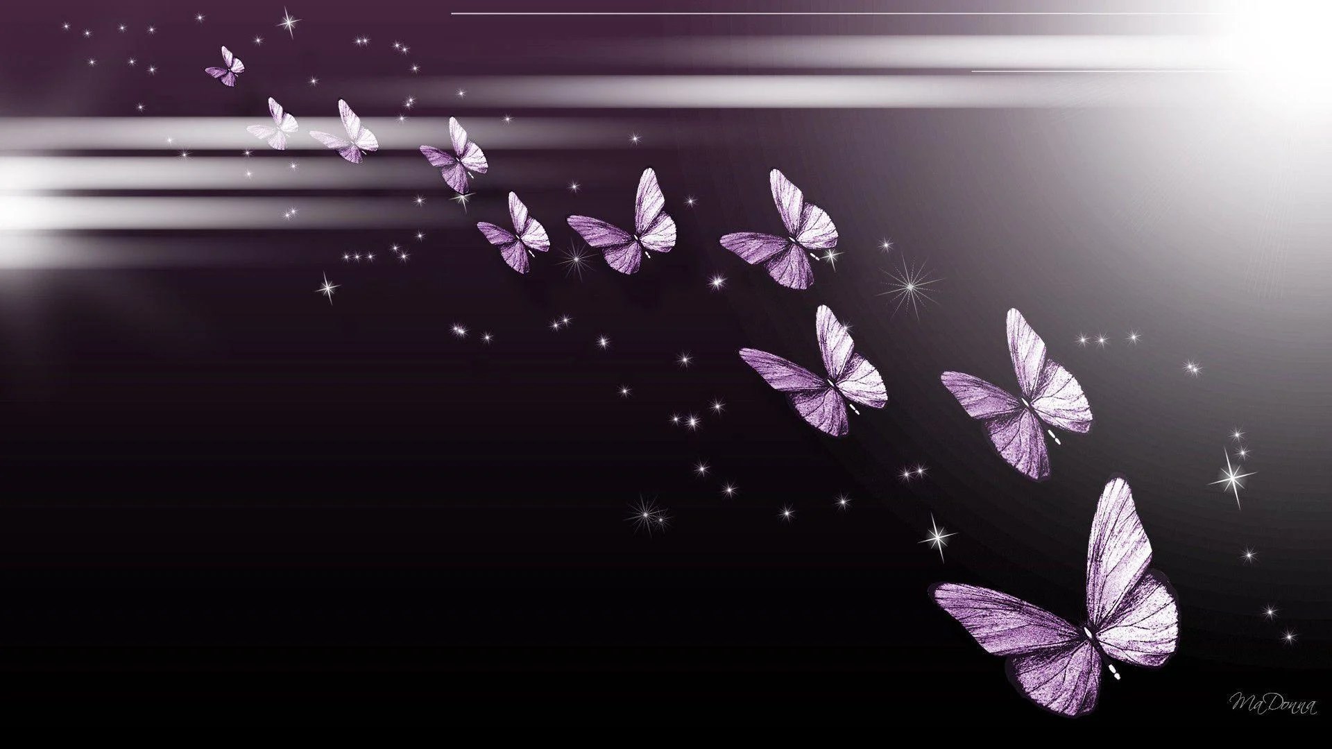 Purple Butterfly Wallpapers Wallpaper Cave