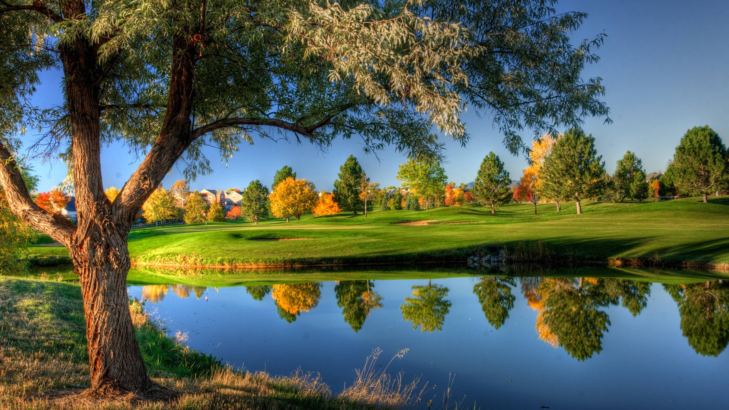 Latest Nature Wallpapers 2015 HD Wallpaper Cave