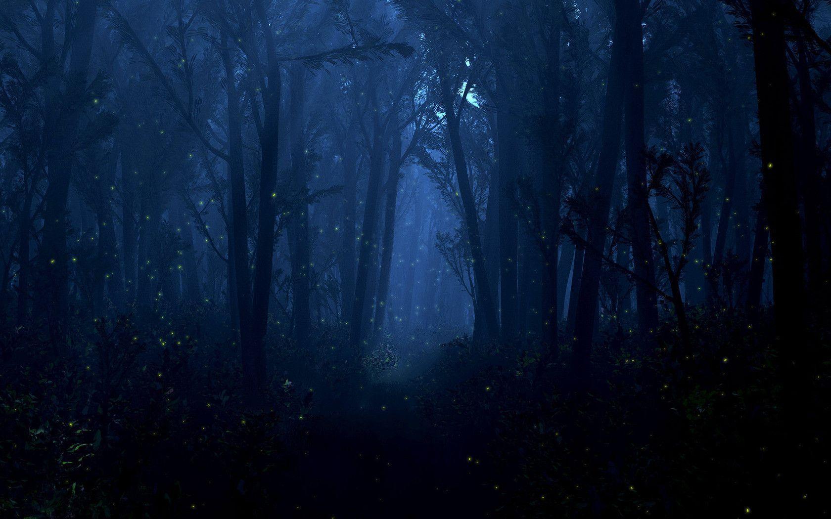 Fireflies Wallpapers Wallpaper Cave