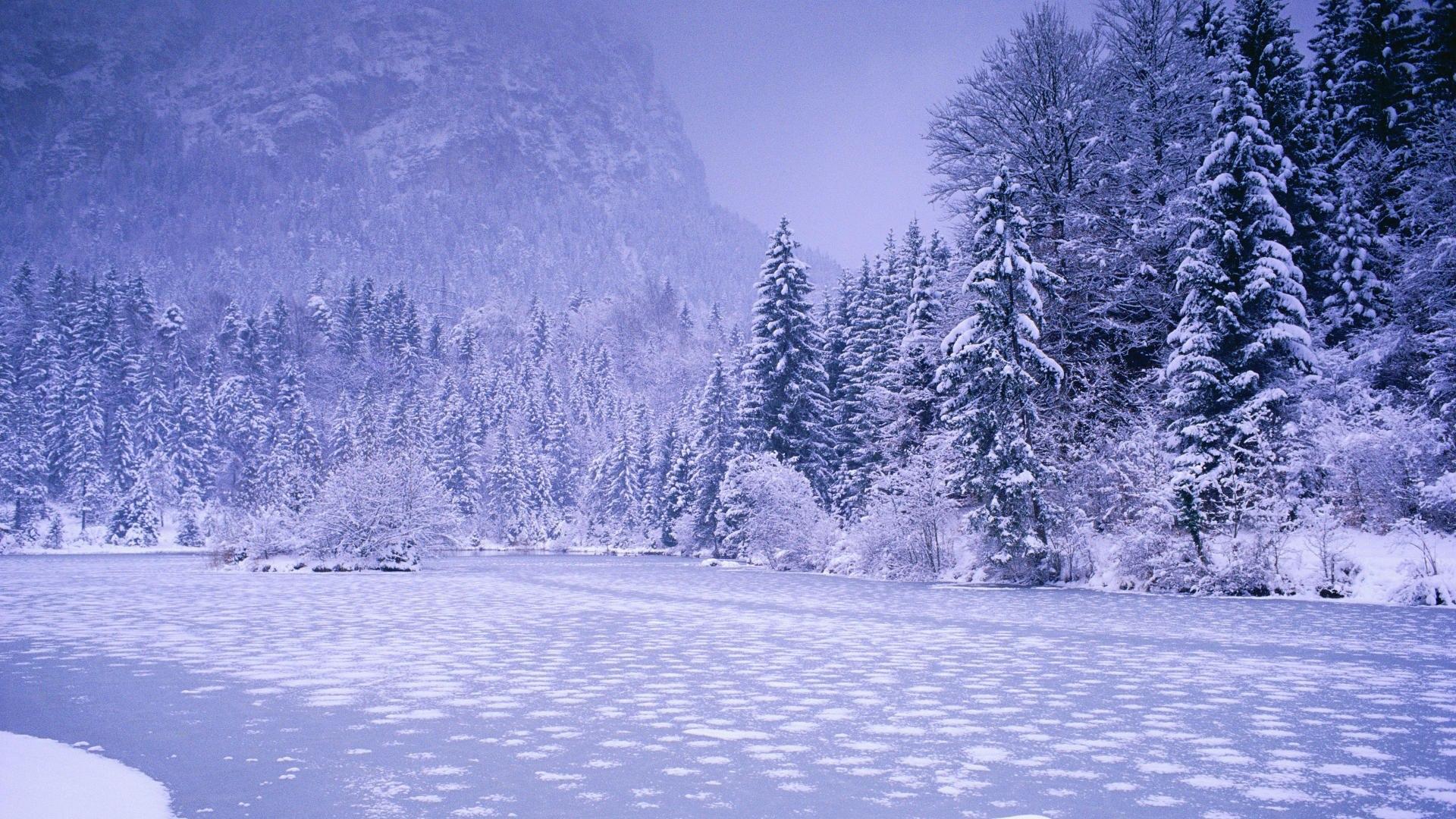 Winter Nature Backgrounds Wallpaper Cave