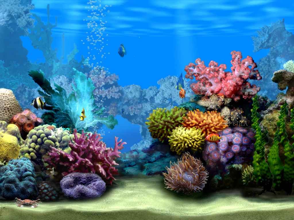 Ocean Floor Wallpapers Wallpaper Cave