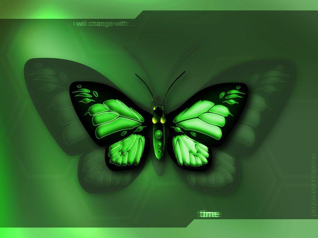 3D Butterfly Wallpapers Wallpaper Cave