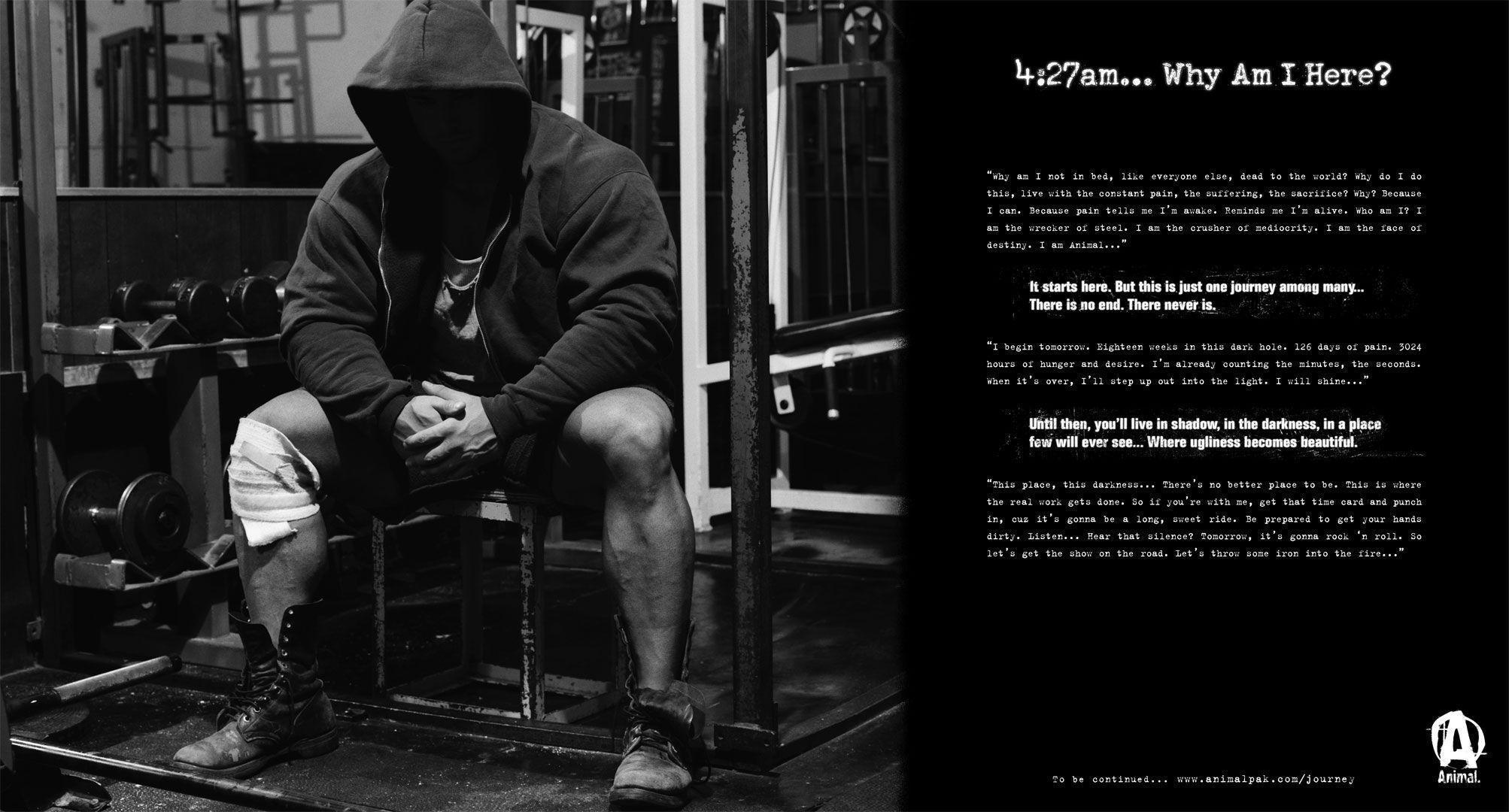 Animal Pak Wallpapers Wallpaper Cave