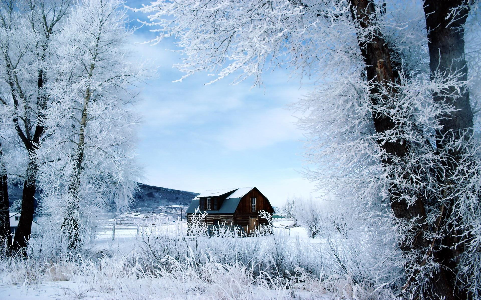 Nice Winter Wallpapers Wallpaper Cave