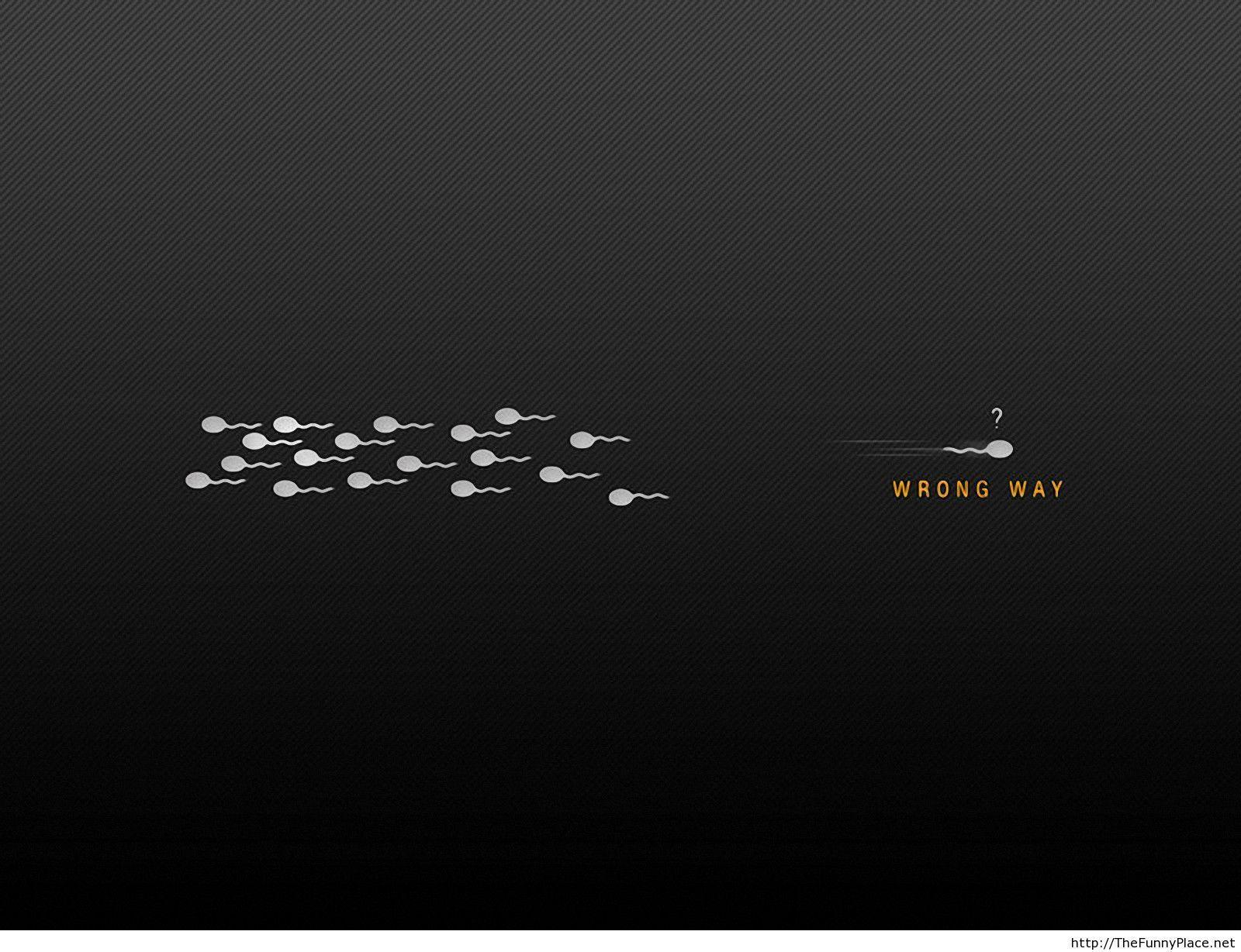 Pics Of Funny Wallpapers Wallpaper Cave