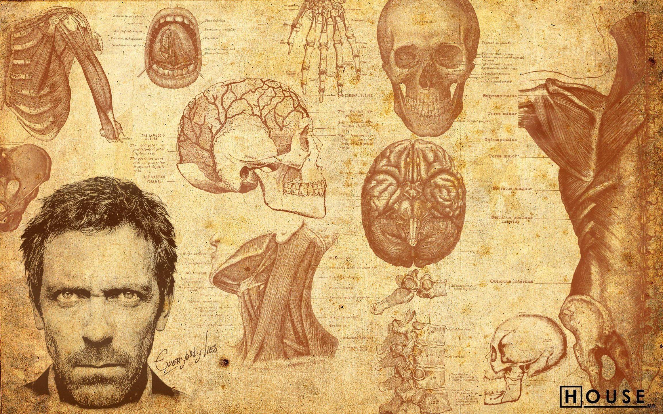 House MD Wallpapers Wallpaper Cave