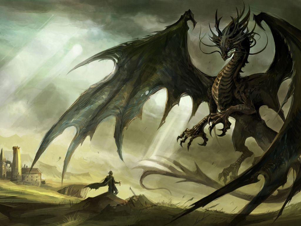 Black Dragon Wallpapers Wallpaper Cave