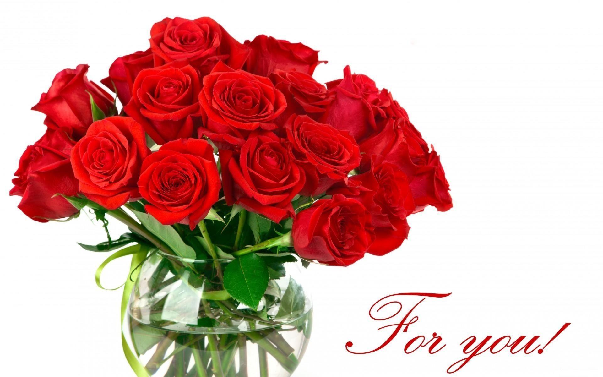 Red Rose Flower Backgrounds Wallpaper Cave