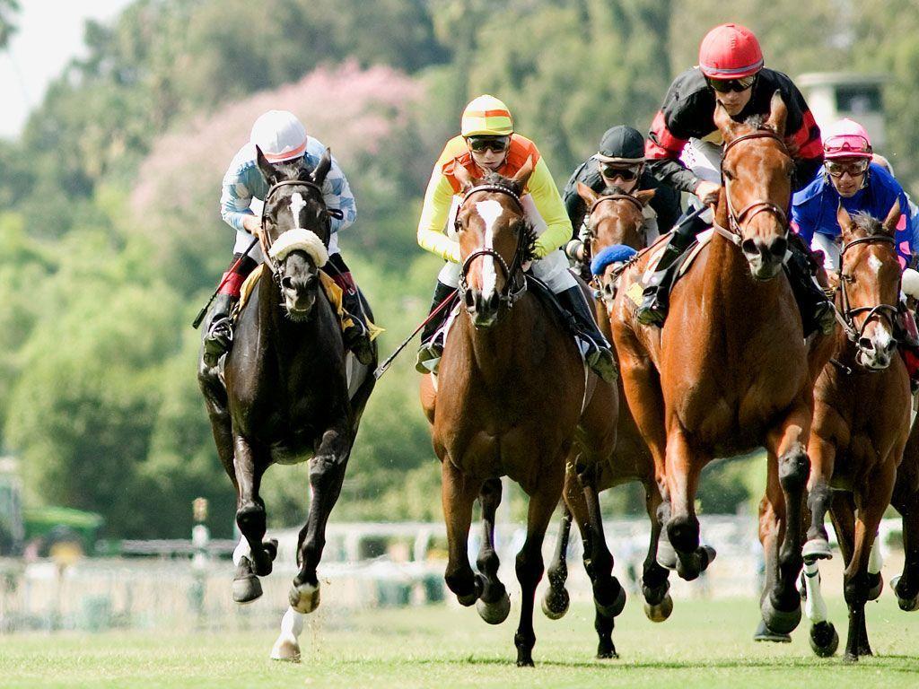 Horse Racing Wallpapers Wallpaper Cave