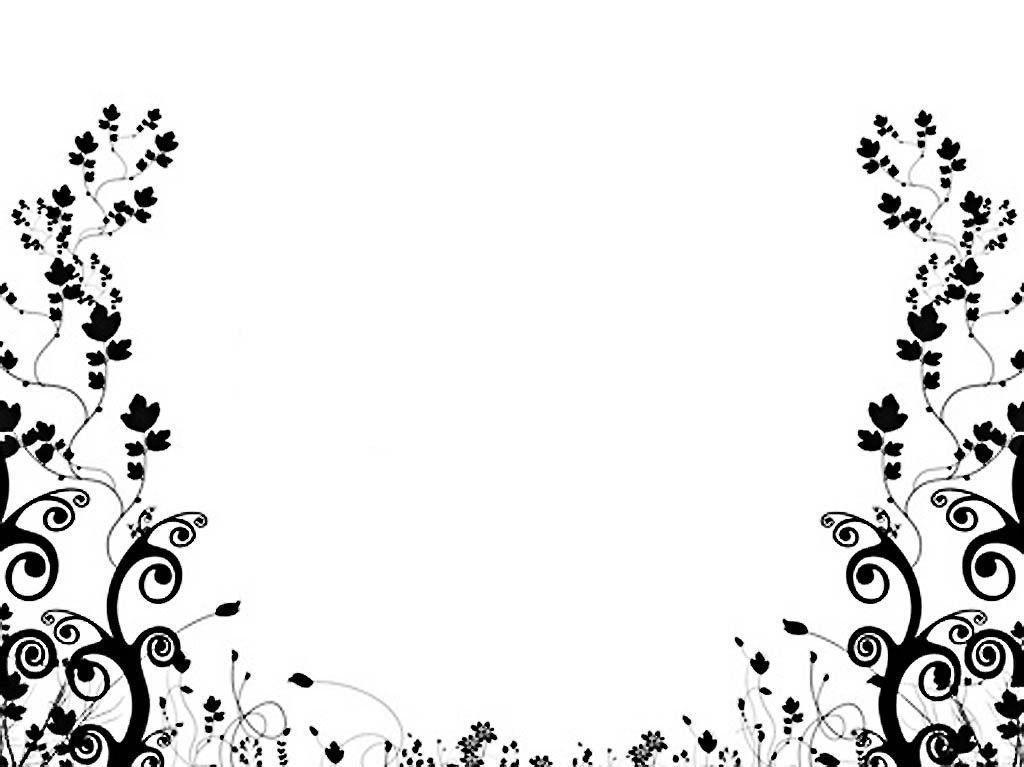 White And Black Backgrounds Wallpaper Cave