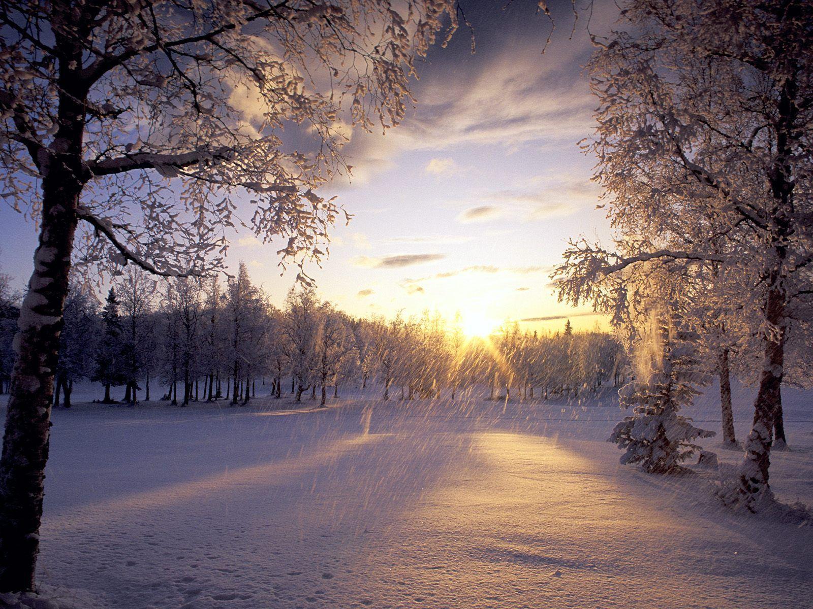 Winter Sunset Wallpapers Wallpaper Cave