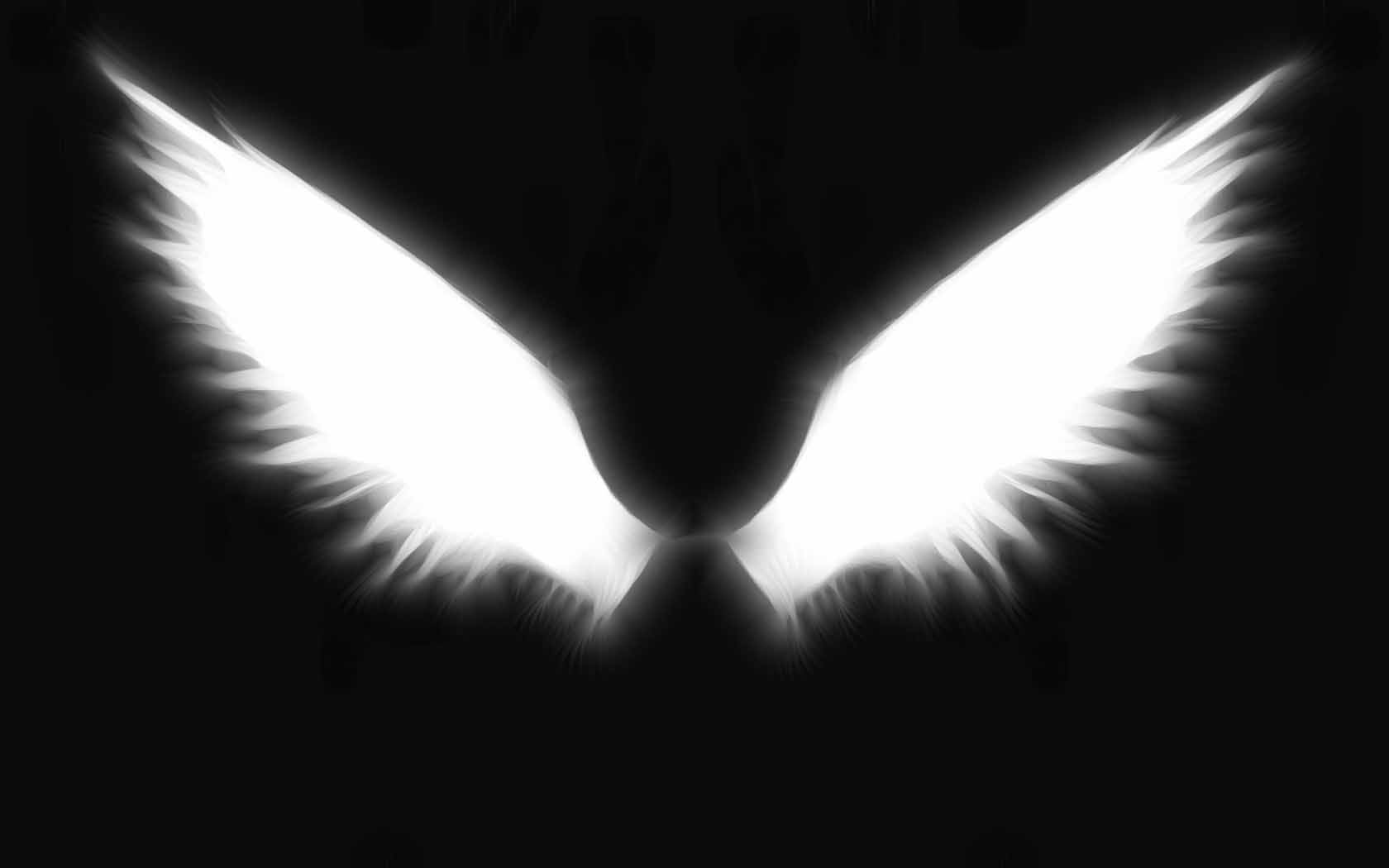 Angel Wings Backgrounds Wallpaper Cave