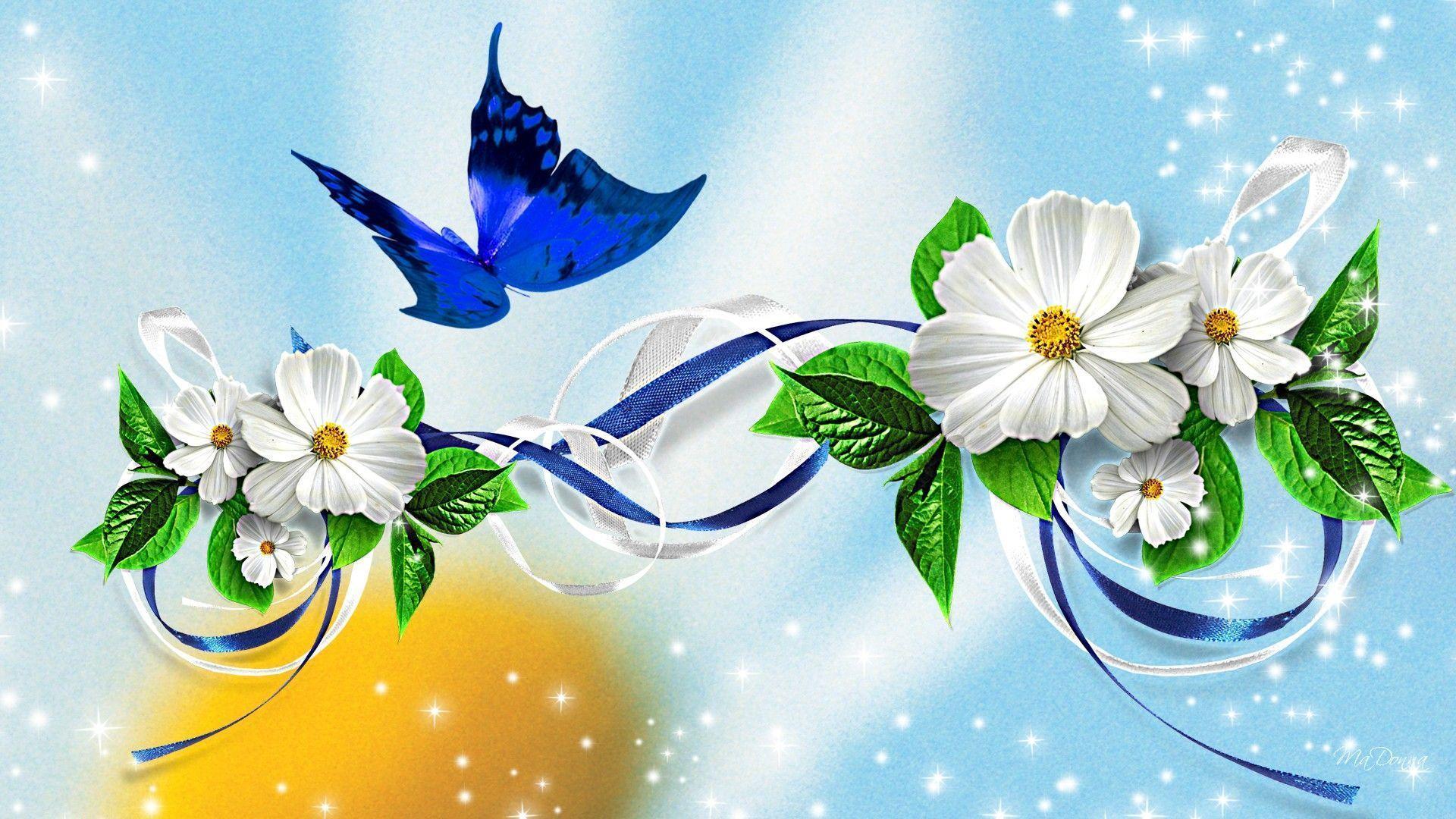 Butterfly And Flower Wallpapers Wallpaper Cave