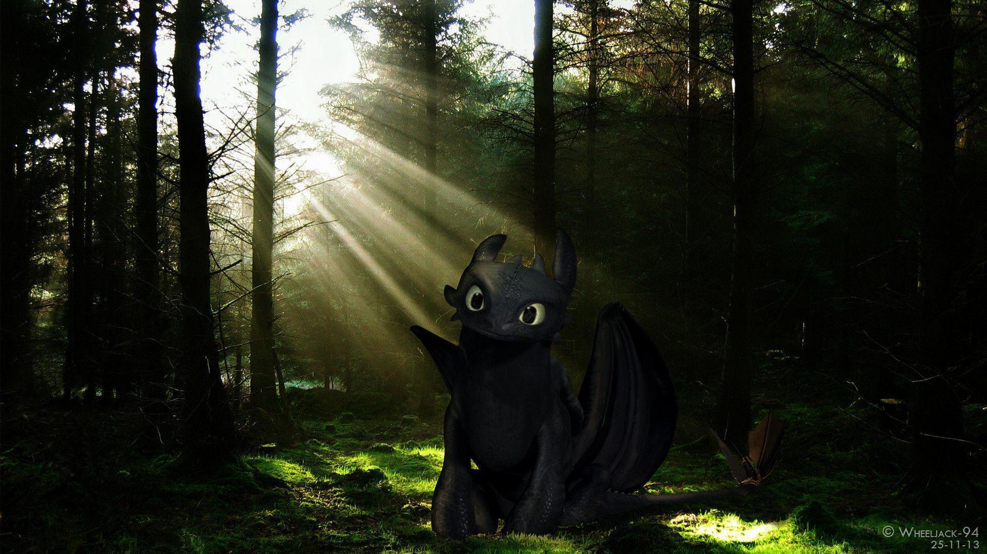 Toothless Wallpapers Wallpaper Cave