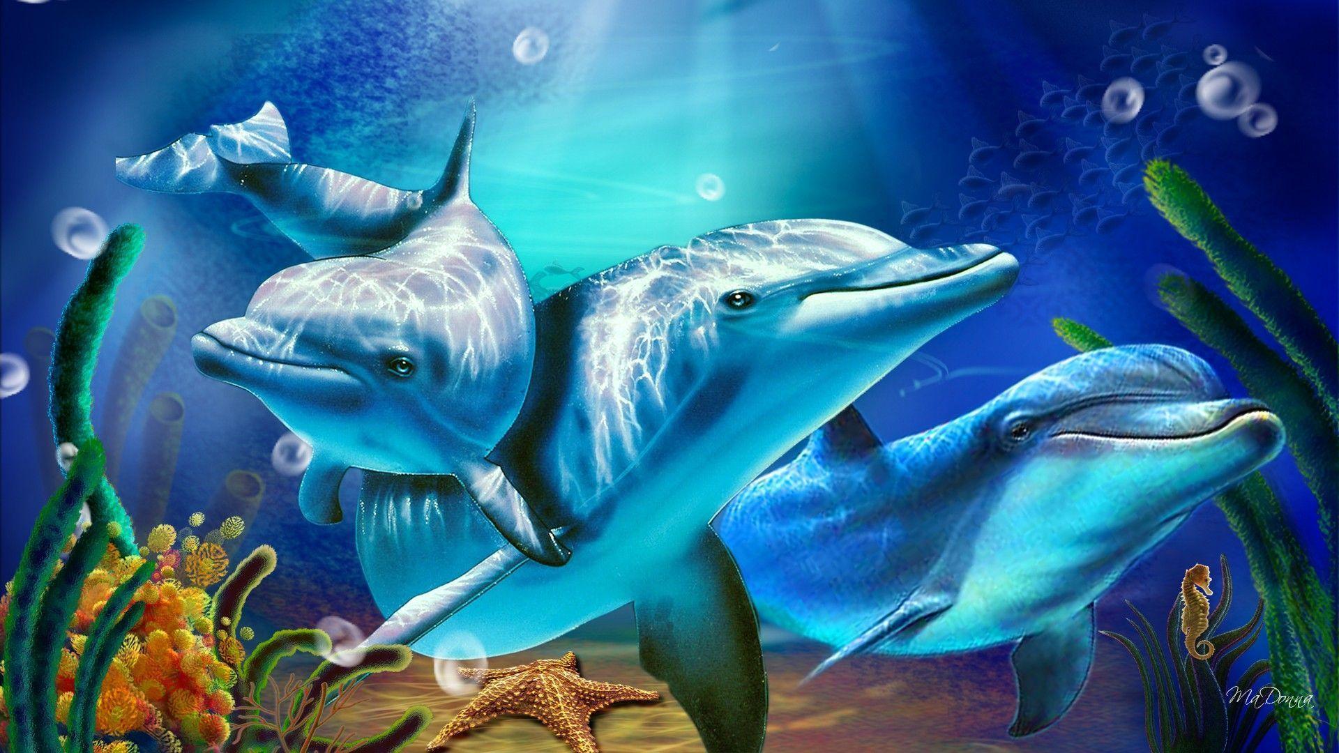 Free Dolphin Wallpapers For Desktop Wallpaper Cave