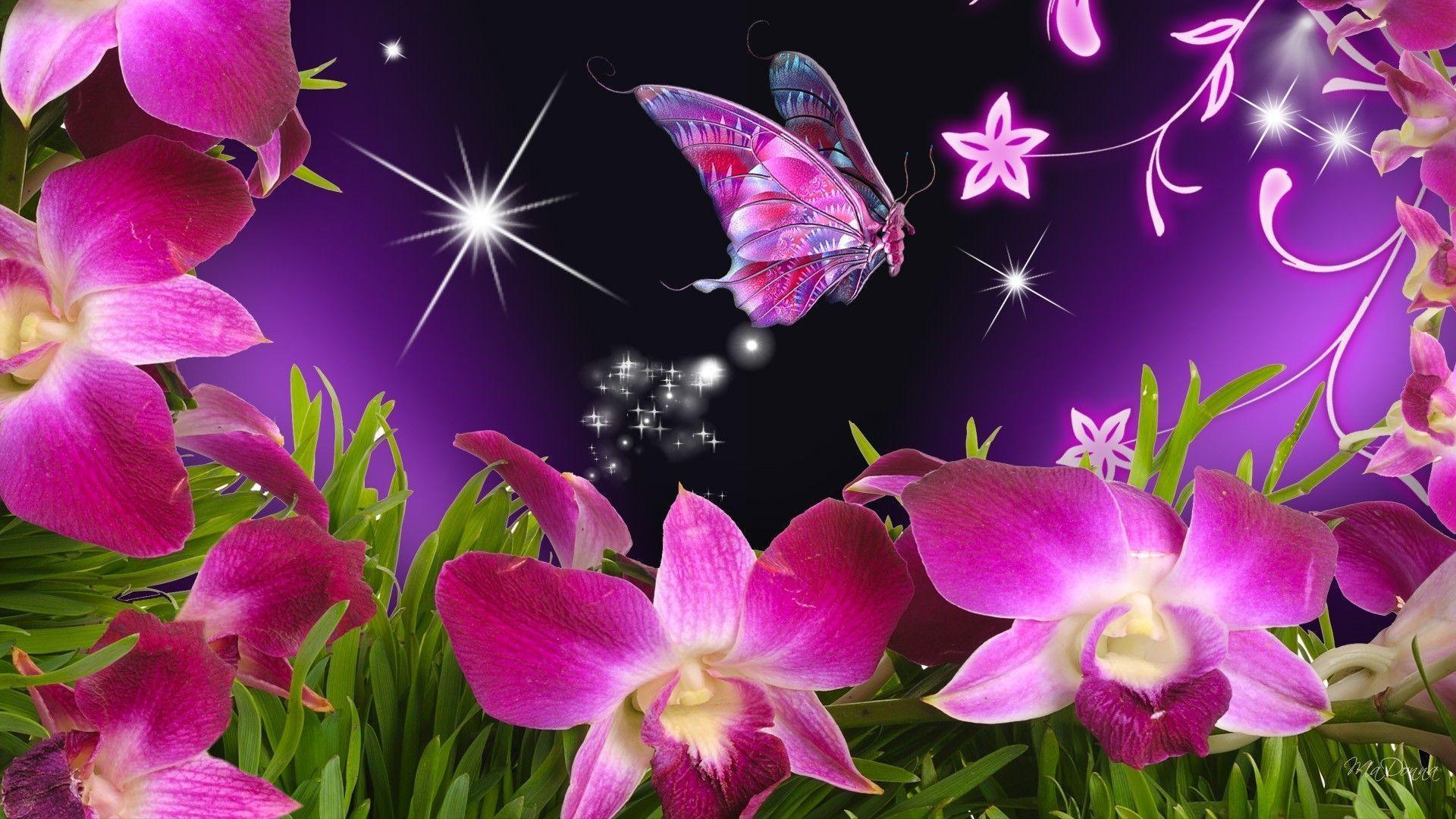Pink Butterfly Backgrounds Wallpaper Cave