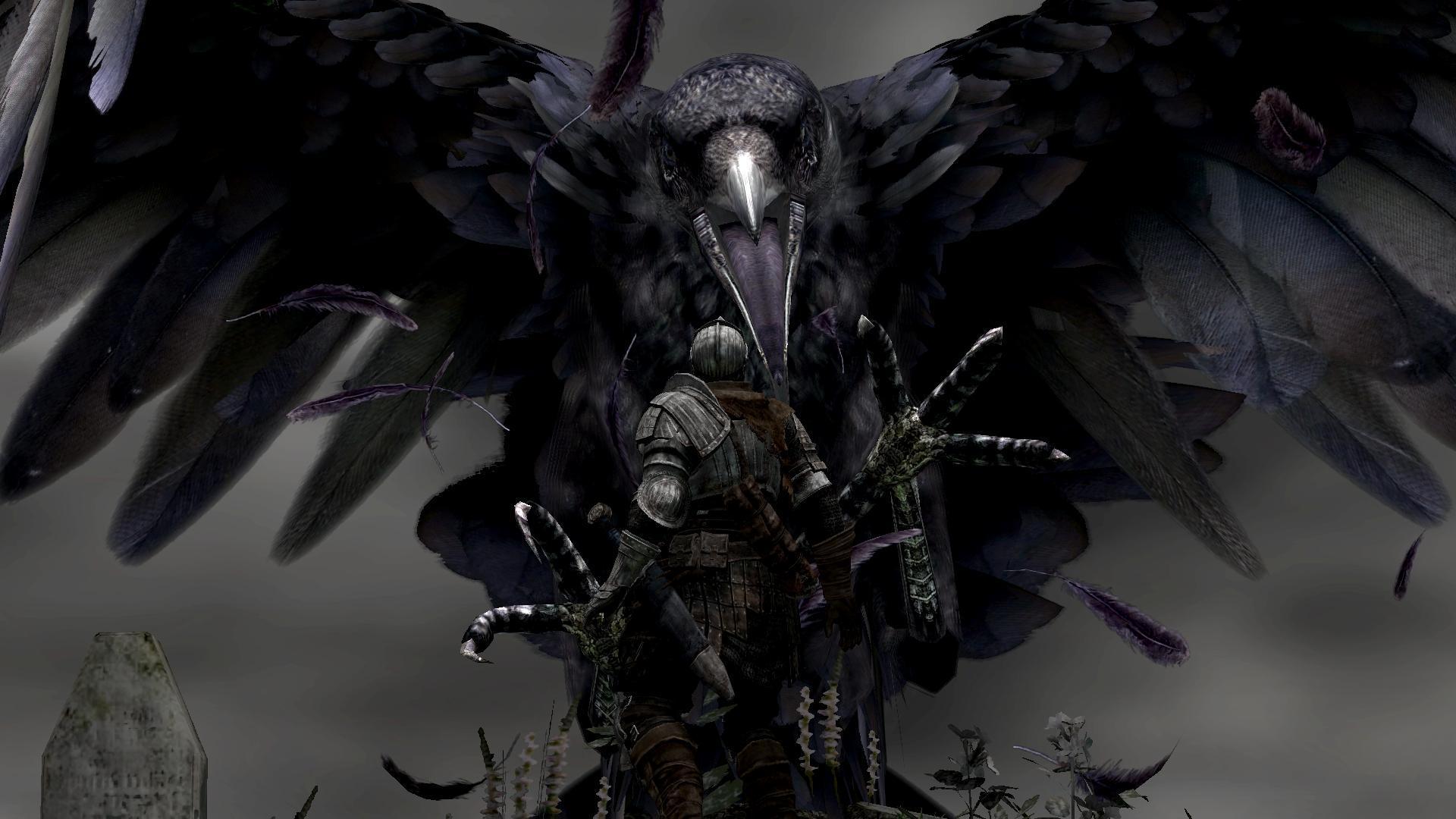 Raven Wallpapers Wallpaper Cave