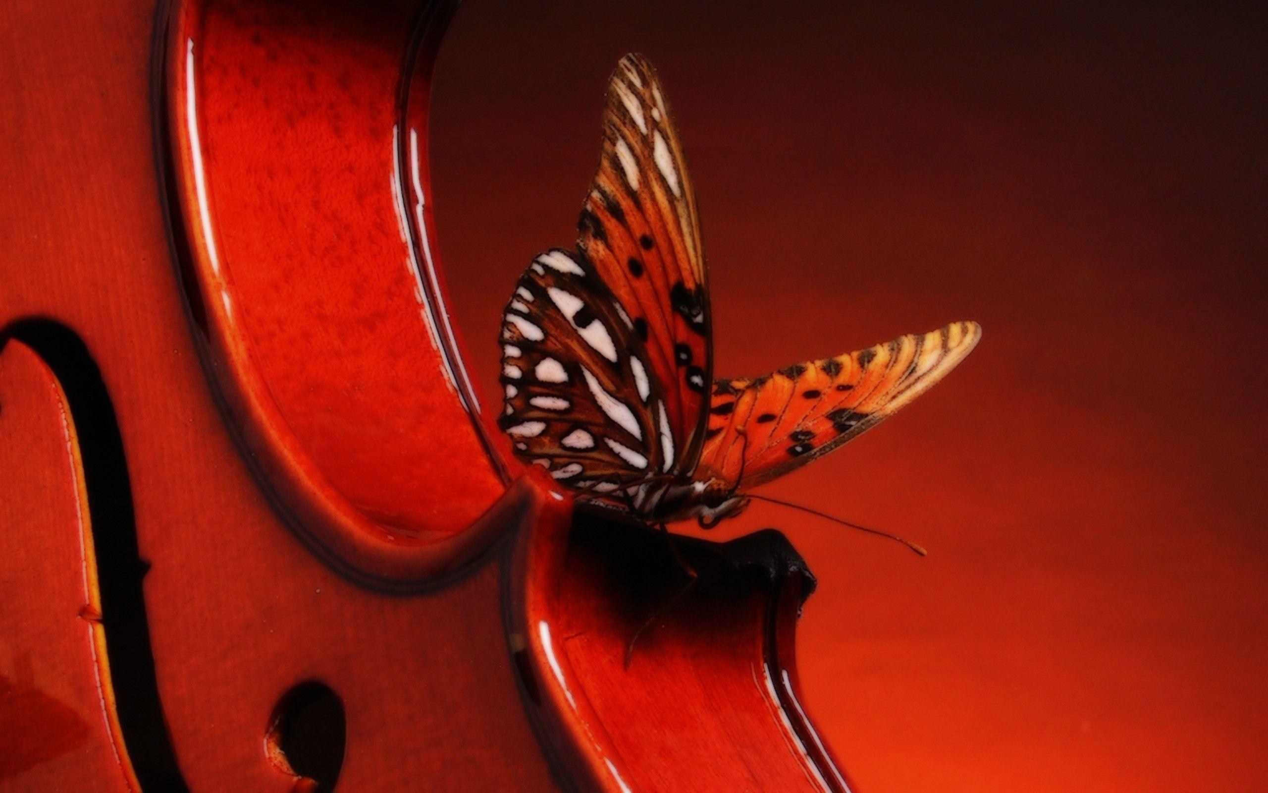 Violin Wallpapers Wallpaper Cave