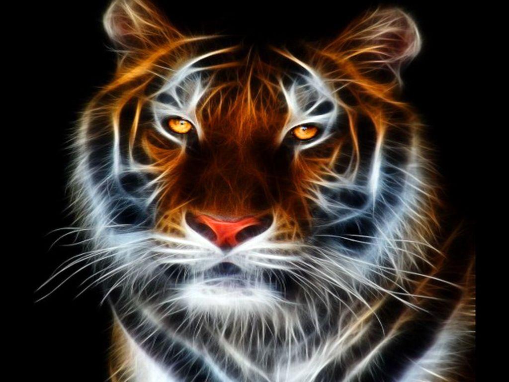 Free Tiger Wallpapers Wallpaper Cave