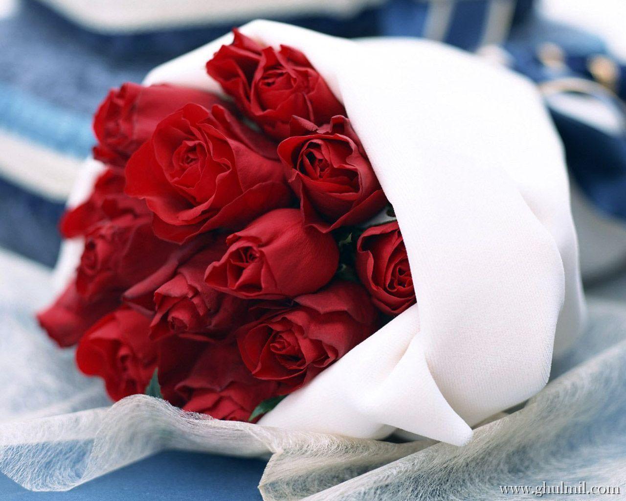 Red Rose Love Wallpapers Wallpaper Cave