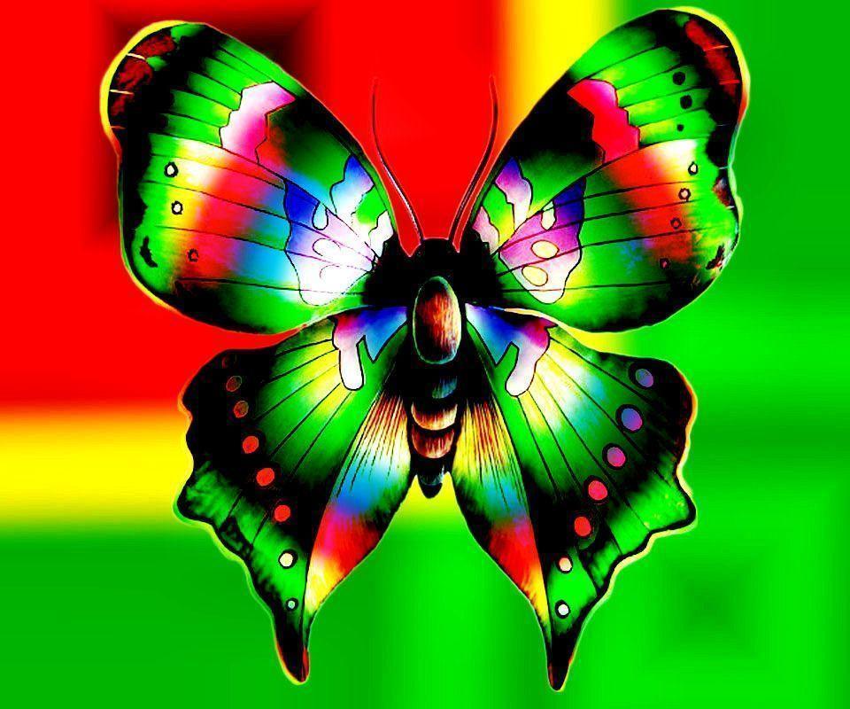 Free Butterfly Wallpapers Wallpaper Cave