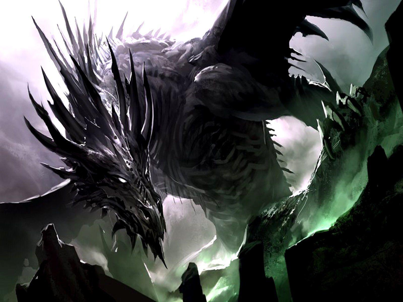 Dragon HD Wallpapers Wallpaper Cave