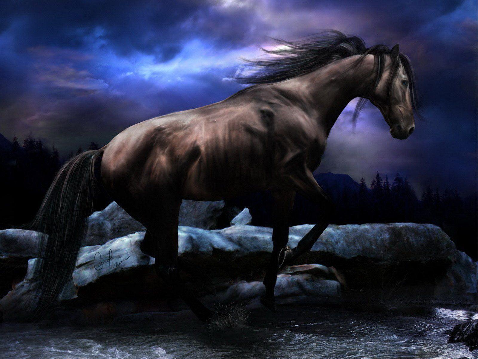 Black Horse Wallpapers Wallpaper Cave