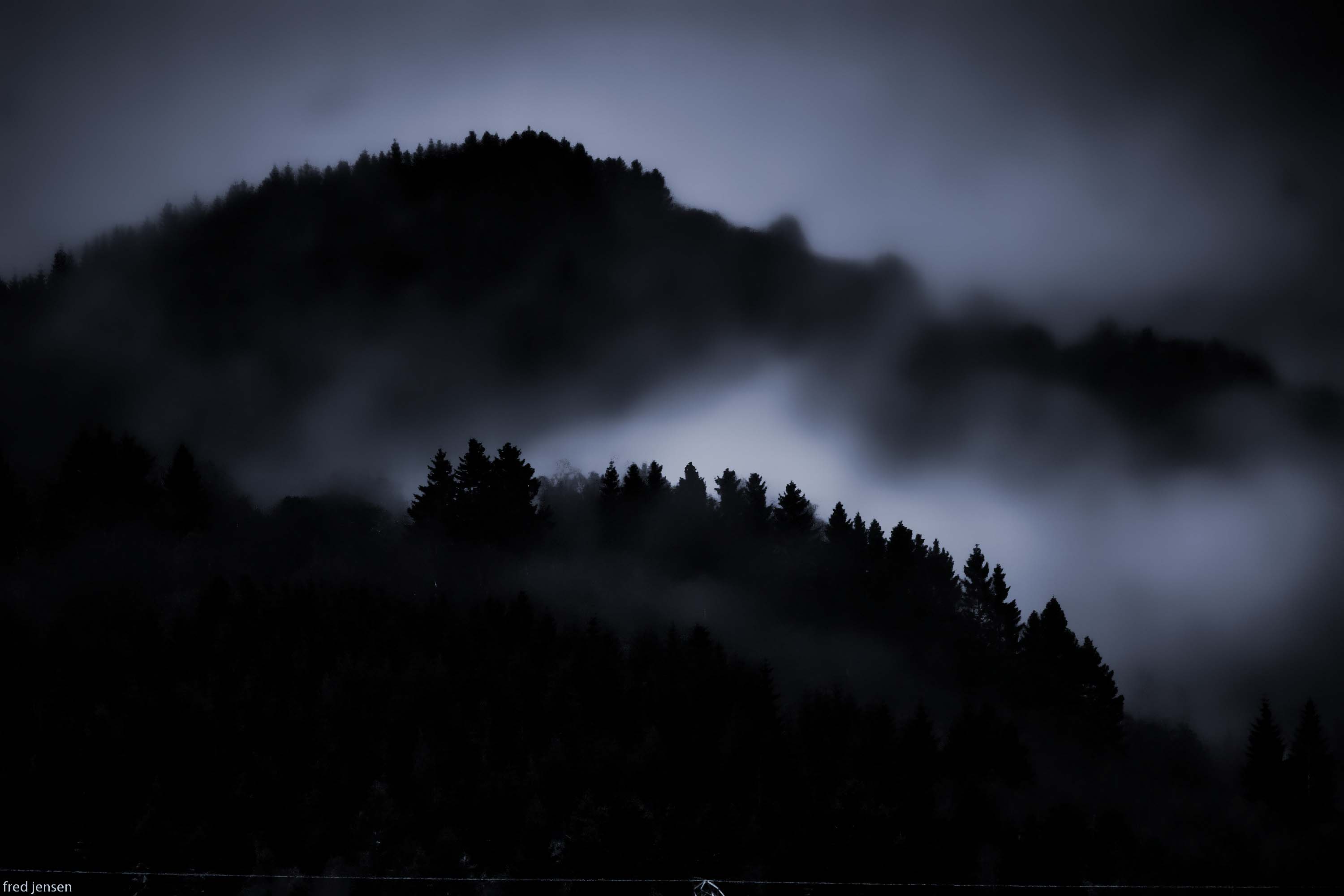 Dark Woods Wallpapers Wallpaper Cave